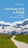 Stefania Simionato - Camminate facili in Friuli. 14 itinerari tra Pordenone e Udine