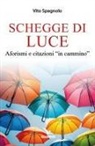 Vito Spagnolo - Schegge di luce. Aforismi e citazioni 'in cammino'