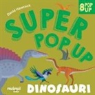 David Hawcock - Dinosauri. Super pop-up!