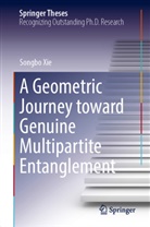 Songbo Xie - A Geometric Journey Toward Genuine Multipartite Entanglement