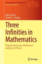 Marco Panza, Daniele C Struppa, Daniele C. Struppa - Three Infinities in Mathematics