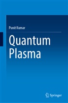 Punit Kumar - Quantum Plasma