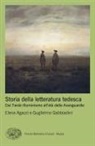 Elena Agazzi, Guglielmo Gabbiadini - Storia della letteratura tedesca. Dal Tardo Illuminismo all'età delle Avanguardie