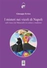 Giuseppe Errico - I misteri nei vicoli di Napoli. Sulle tracce del Monaciello tra cultura e tradizioni