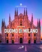 Andrea Del Sarto - Duomo di Milano