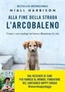 Niall Harbison - Alla fine della strada l'arcobaleno. Come i cani randagi mi hanno illuminato la vita