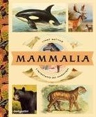 Lindy Mattice - Mammalia. L'inventario dei mammiferi