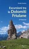 Davide Zambon - Escursioni tra le Dolomiti friulane. 19 itinerari