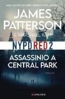 Marshall Karp, James Patterson - Assassinio a Central Park