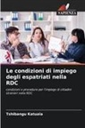 Tshibangu Katuala - Le condizioni di impiego degli espatriati nella RDC