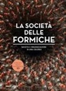 Armin Schieb - La società delle formiche