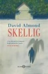 David Almond - Skellig