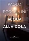 Paolo Forcellini - Acqua alla gola