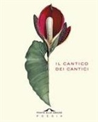 Il cantico dei cantici. Testo ebraico a fronte