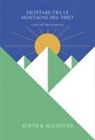 Kurtis R. Schaeffer - Meditare tra le montagne del Tibet. Canti sull'impermanenza