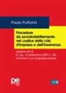 Paolo Pulitanò - Procedure da sovraindebitamento nel codice della crisi d'impresa e dell'insolvenza. Aggiornato al D.Lgs. 13 settembre 2024 n. 136. Annotato con la giurisprudenza