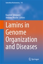 Muchir, Antoine Muchir, Kaushik Sengupta - Lamins in Genome Organization and Diseases