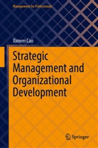 Xinwei Cao - Strategic Management and Organizational Development