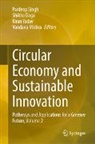 Shikha Daga, Vandana Mishra, Pardeep Singh, Kiran Yadav, Kiran Yadav et al - Circular Economy and Sustainable Innovation