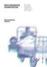 Massimiliano Giberti - Metamorfosi domestiche. Evoluzione del modello residenziale collettivo nell'era delle post utopie