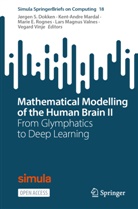 Jørgen S. Dokken, Marie E Rognes et al, Kent-Andre Mardal, Marie E. Rognes, Lars Magnus Valnes, Vegard Vinje - Mathematical Modelling of the Human Brain II