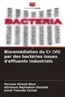 Akinware Najimdeen Olamide, Parvaze Ahmad Wani, Jimoh Yetunde Zainab - Bioremédiation du Cr (VI) par des bactéries issues d'effluents industriels