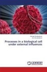 Irina Shoikhedbrod, Michael Shoikhedbrod - Processes in a biological cell under external influences