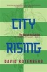 David Rotenberg - City Rising - Volume 3