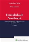 Peter Kummer - Formularbuch Sozialrecht