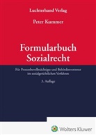 Peter Kummer, Peter Kummer - Formularbuch Sozialrecht