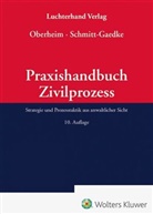 Rainer Oberheim, Gernot Schmitt-Gaedke, Rainer Oberheim, Schmitt-Gaedke, Gernot Schmitt-Gaedke - Praxishandbuch Zivilprozess