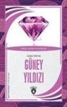 Jules Verne - Güney Yildizi Dünya Cocuk Klasikleri 7-12 Yas
