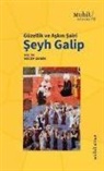 Recep Demir - Güzellik ve Askin Sairi Seyh Galip