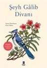 Ozan Yilmaz - Seyh Galib Divani