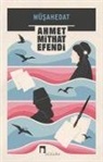 Ahmet Mithat Efendi - Müsahedat