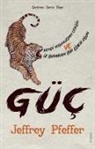 Jeffrey Pfeffer - Güc