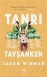 Sarah Winman - Tanri Tavsanken
