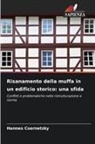 Hannes Csernetzky - Risanamento della muffa in un edificio storico: una sfida