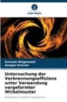 Avinash Alagumalai, Asogan Kannan - Untersuchung der Verbrennungseffizienz unter Verwendung vorgeformter Wirbelmuster