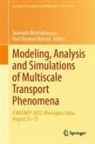 Somnath Bhattacharyya, Hari Shankar Mahato - Modeling, Analysis and Simulations of Multiscale Transport Phenomena