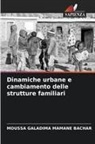 Moussa Galadima Mamane Bachar - Dinamiche urbane e cambiamento delle strutture familiari