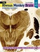 Henry C. Evrard, George Paxinos, Petrides Michael - The Rhesus Monkey Brain in Stereotaxic Coordinates