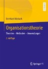 Bernhard Miebach - Organisationstheorie