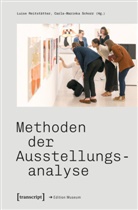 Luise Reitstätter, Carla-Marinka Schorr - Methoden der Ausstellungsanalyse