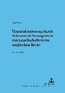 Udo Prinz, Theodor Baums - Umstrukturierung durch "Schemes of Arrangement" mit Gesellschaftern im englischen Recht
