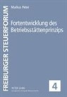 Markus Peter, Wolfgang Kessler - Fortentwicklung des Betriebsstättenprinzips