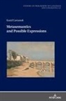 Kamil Lemanek, Piotr Stalmaszczyk - Metasemantics and Possible Expressions