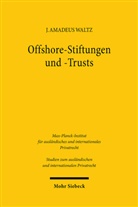 Johannes Amadeus Waltz - Offshore-Stiftungen und -Trusts