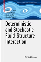 Suncica Canic, Sunčica Čanić, Jeffrey Kuan, Boris Muha, Boris et al Muha, Krutika Tawri - Deterministic and Stochastic Fluid-Structure Interaction