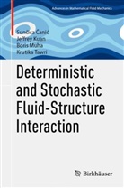 Suncica Canic, Sunčica Čanić, Jeffrey Kuan, Boris Muha, Boris et al Muha, Krutika Tawri - Deterministic and Stochastic Fluid-Structure Interaction